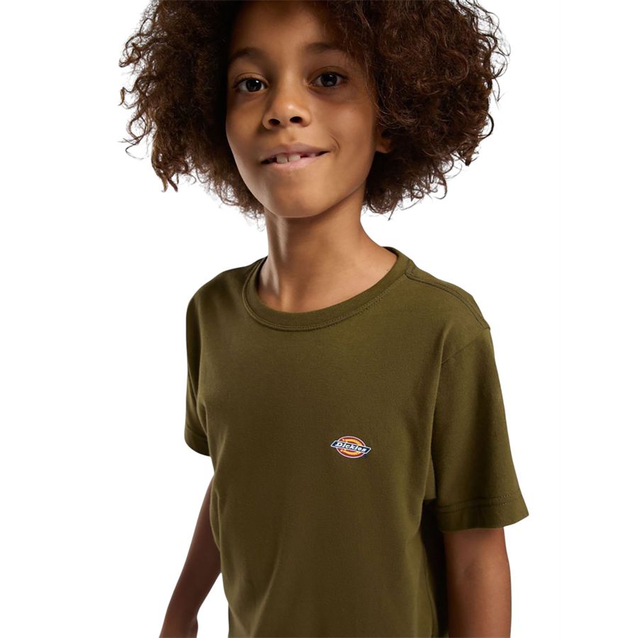 K Youth Mapleton Tee t-shirt manica corta da bambino Dickies | DK0KSR64DKO