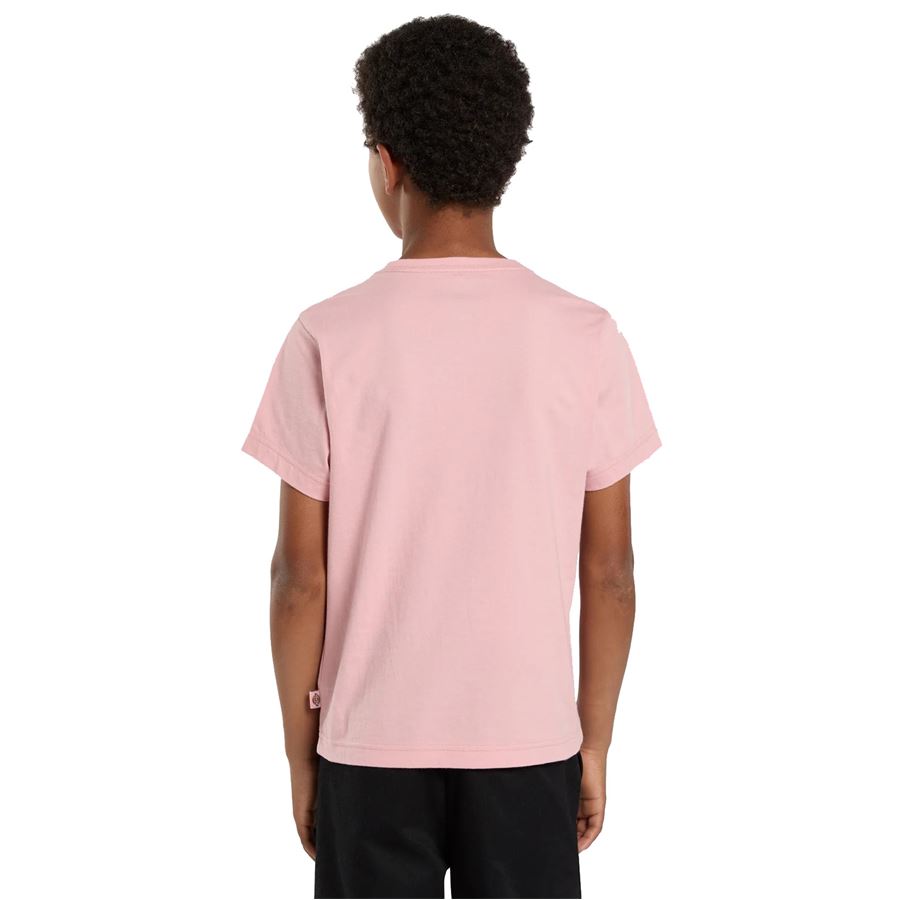  Dickies | DK0KSR64L47